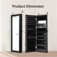 Lockable Wall Door Mounted Mirror Jewelry Cabinet w LED Lights-Black Online Sale