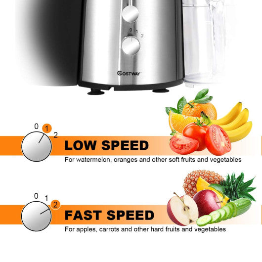 2 Speed Electric Juice Press for Fruit and Vegetable Cheap