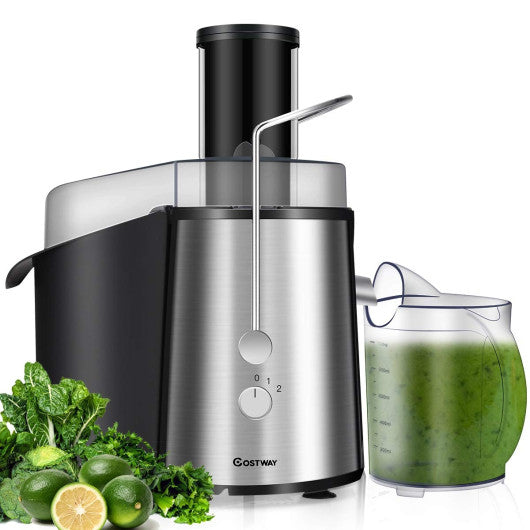 2 Speed Electric Juice Press for Fruit and Vegetable Cheap