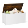 Flip-top Storage Chest with Self-hold Cover and Pneumatic Rod-White Discount