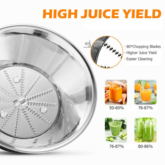 Centrifugal Juicer Machine Juicer Extractor Dual Speed Online